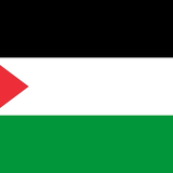 Palestine Bonnet (Stretchy band)